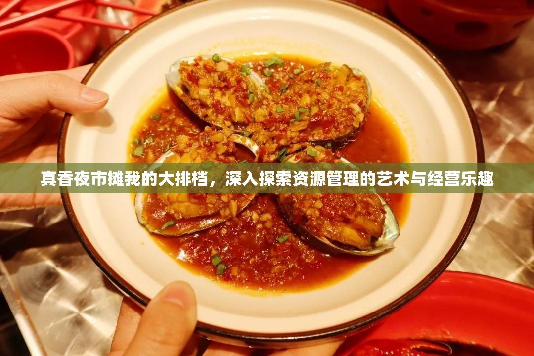 真香夜市攤我的大排檔，深入探索資源管理的藝術(shù)與經(jīng)營樂趣
