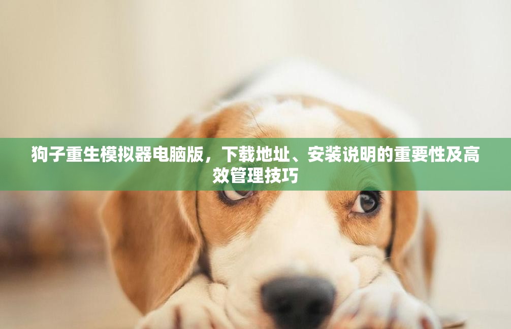 狗子重生模擬器電腦版，下載地址、安裝說明的重要性及高效管理技巧