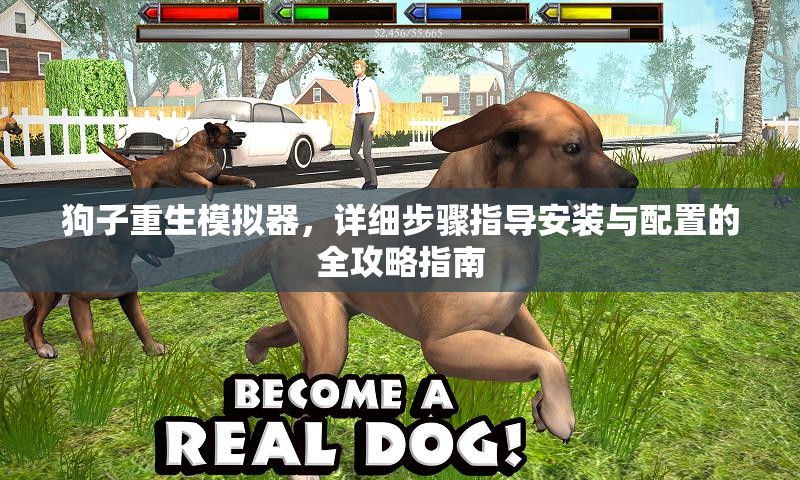 狗子重生模擬器，詳細步驟指導安裝與配置的全攻略指南