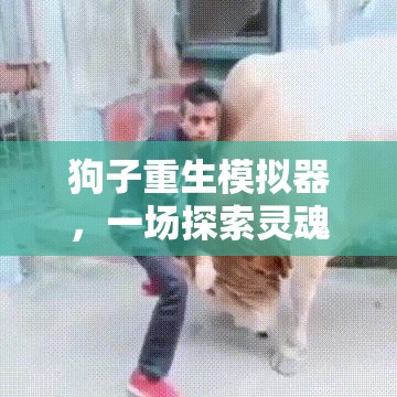狗子重生模擬器，一場探索靈魂穿越的萌寵奇遇，究竟能否帶來非凡游戲體驗？
