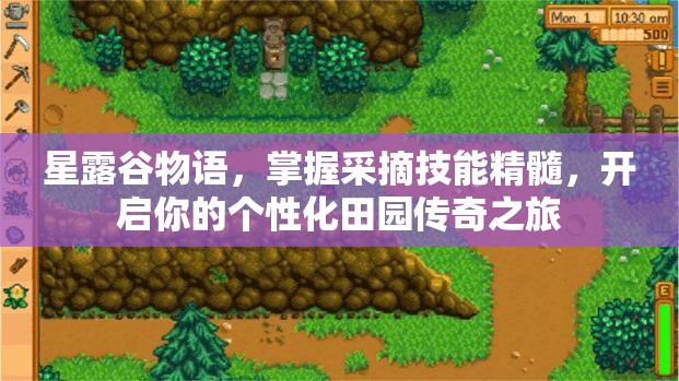 星露谷物語(yǔ)，掌握采摘技能精髓，開(kāi)啟你的個(gè)性化田園傳奇之旅
