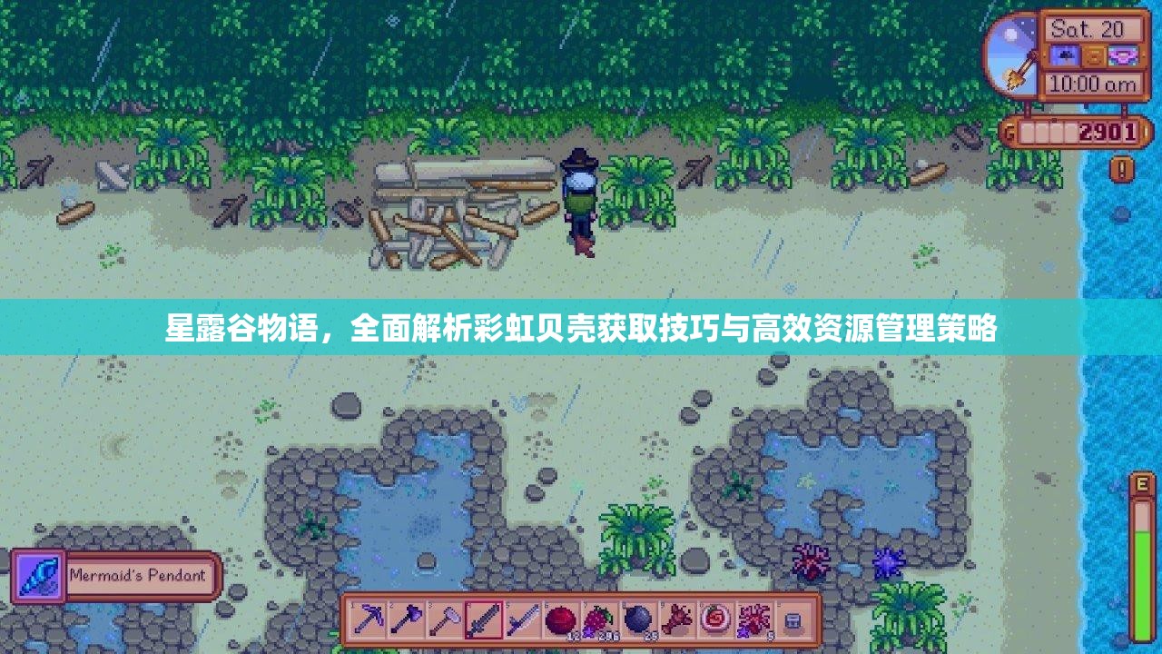 星露谷物語，全面解析彩虹貝殼獲取技巧與高效資源管理策略