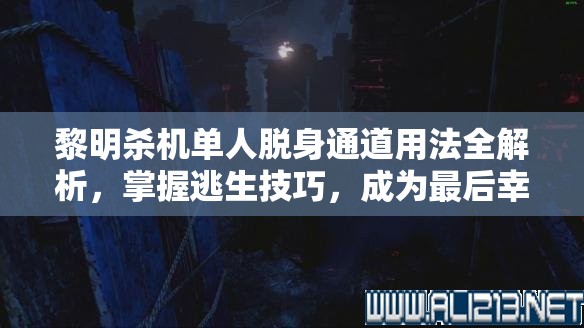 黎明殺機(jī)單人脫身通道用法全解析，掌握逃生技巧，成為最后幸存者