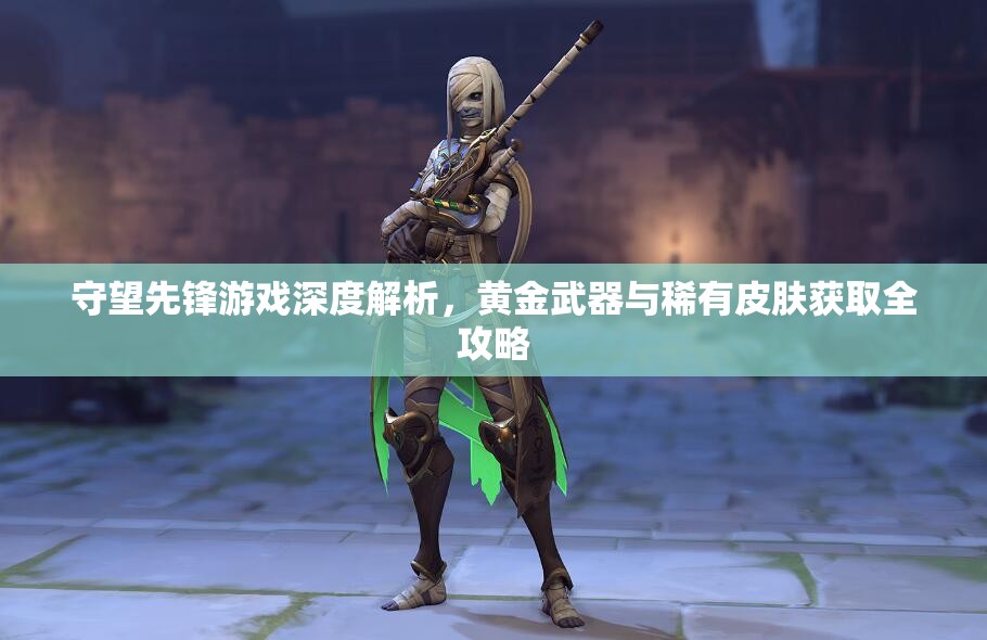 守望先鋒游戲深度解析，黃金武器與稀有皮膚獲取全攻略