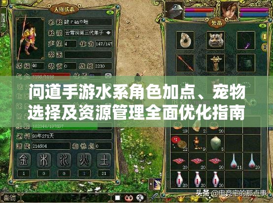 問道手游水系角色加點、寵物選擇及資源管理全面優(yōu)化指南