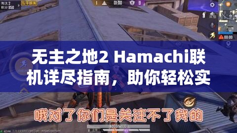 無主之地2 Hamachi聯(lián)機(jī)詳盡指南，助你輕松實(shí)現(xiàn)多人在線冒險之旅