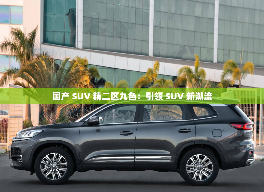 國(guó)產(chǎn) SUV 精二區(qū)九色：引領(lǐng) SUV 新潮流