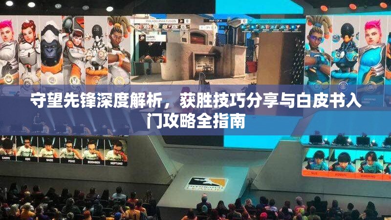 守望先鋒深度解析，獲勝技巧分享與白皮書(shū)入門(mén)攻略全指南
