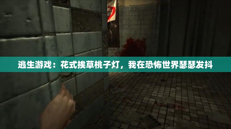 逃生游戲：花式挨草桃子燈，我在恐怖世界瑟瑟發(fā)抖