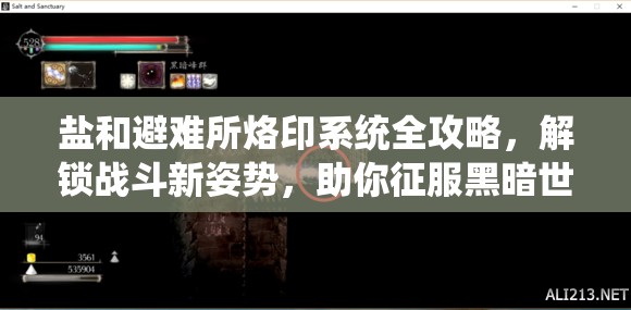 鹽和避難所烙印系統(tǒng)全攻略，解鎖戰(zhàn)斗新姿勢(shì)，助你征服黑暗世界