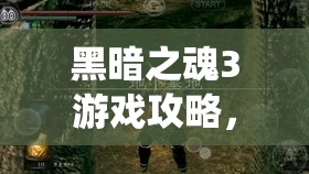 黑暗之魂3游戲攻略，全面揭秘寶石結(jié)晶蟲(chóng)所有隱藏位置