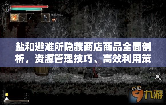 鹽和避難所隱藏商店商品全面剖析，資源管理技巧、高效利用策略及防浪費(fèi)指南