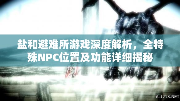 鹽和避難所游戲深度解析，全特殊NPC位置及功能詳細(xì)揭秘