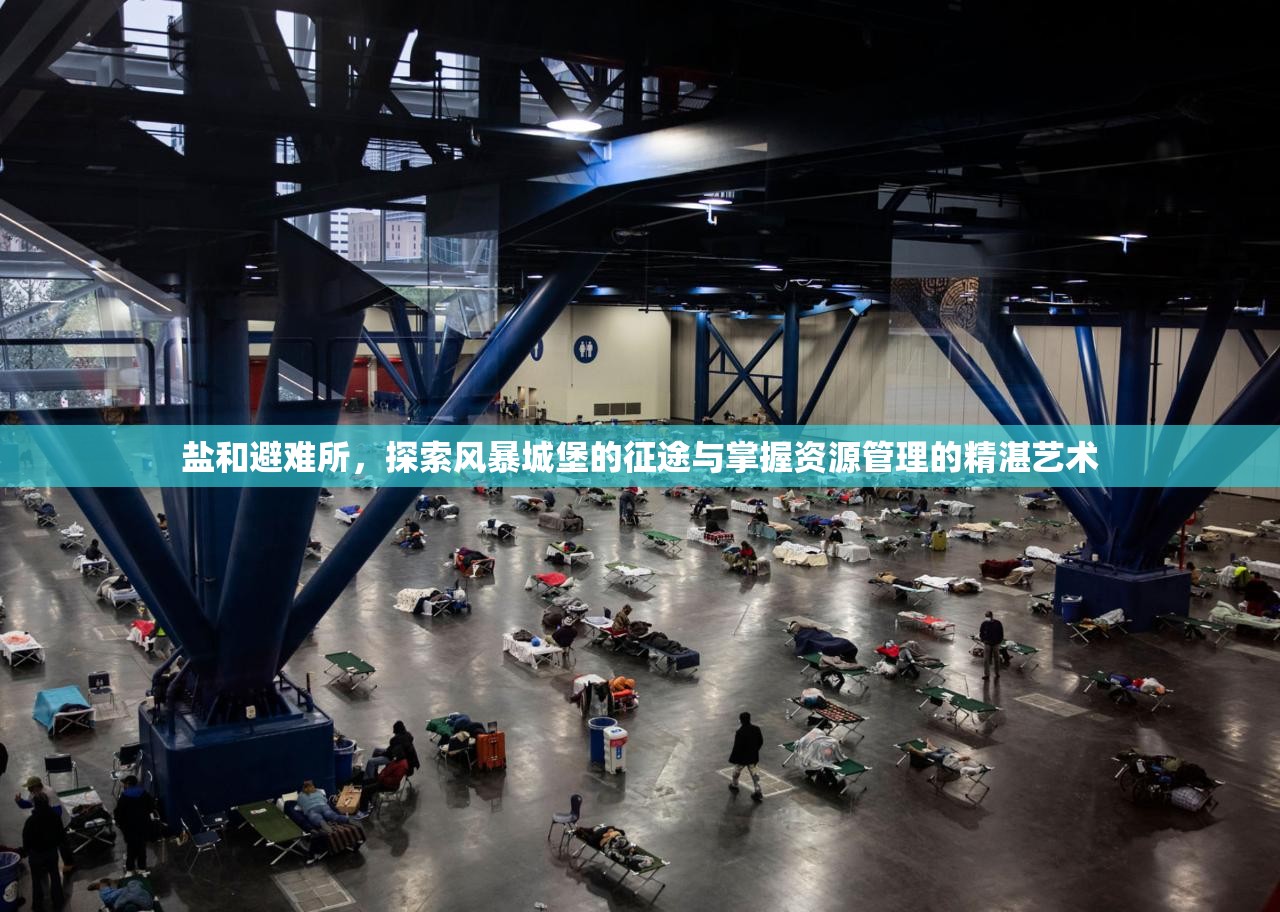 鹽和避難所，探索風暴城堡的征途與掌握資源管理的精湛藝術