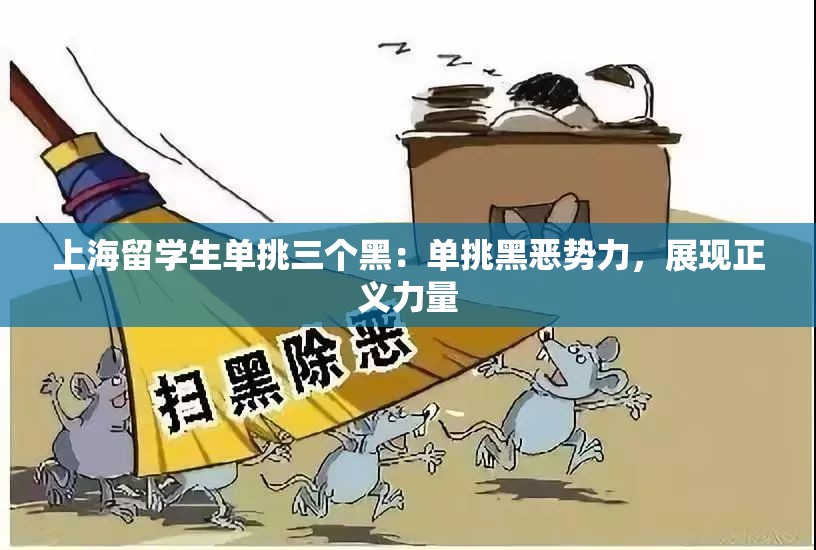 上海留學(xué)生單挑三個黑：單挑黑惡勢力，展現(xiàn)正義力量