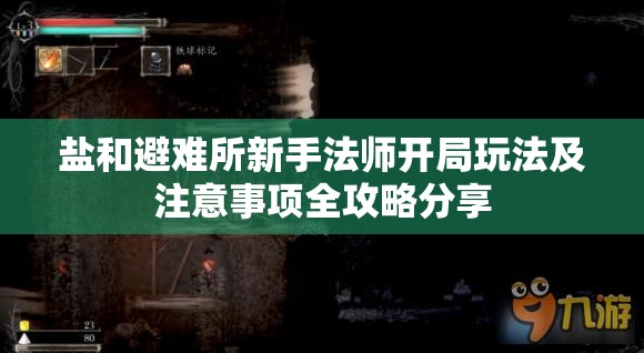 鹽和避難所新手法師開(kāi)局玩法及注意事項(xiàng)全攻略分享