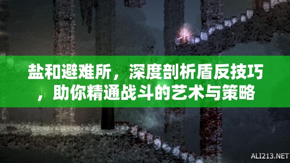 鹽和避難所，深度剖析盾反技巧，助你精通戰(zhàn)斗的藝術(shù)與策略
