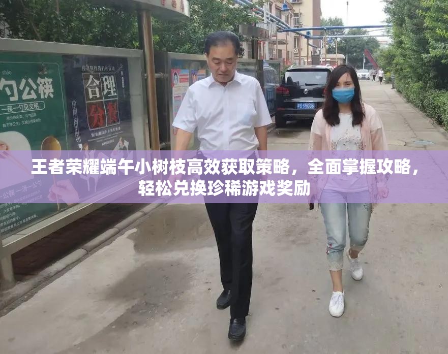 王者榮耀端午小樹枝高效獲取策略，全面掌握攻略，輕松兌換珍稀游戲獎勵
