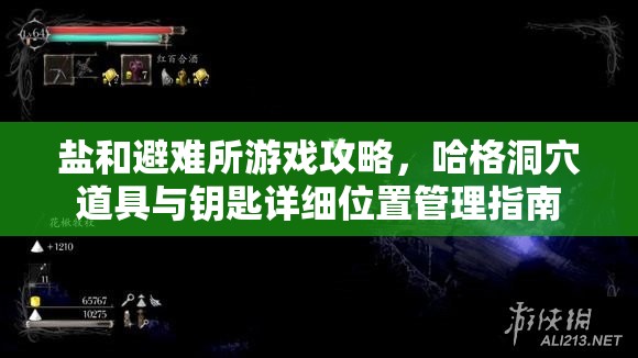 鹽和避難所游戲攻略，哈格洞穴道具與鑰匙詳細(xì)位置管理指南