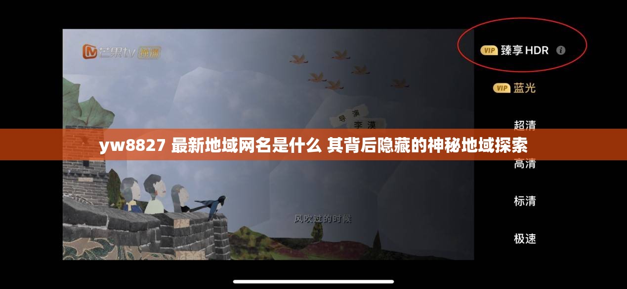 yw8827 最新地域網(wǎng)名是什么 其背后隱藏的神秘地域探索