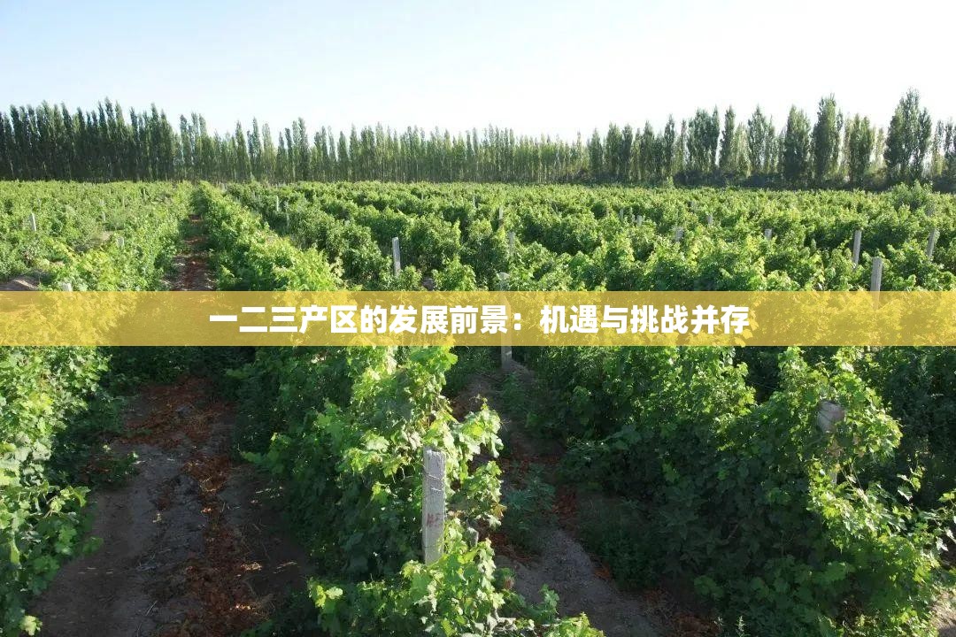 一二三產(chǎn)區(qū)的發(fā)展前景：機遇與挑戰(zhàn)并存