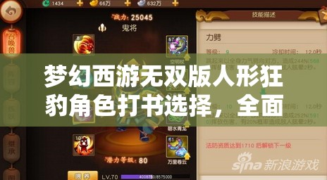 夢(mèng)幻西游無(wú)雙版人形狂豹角色打書(shū)選擇，全面解析與攻略指南