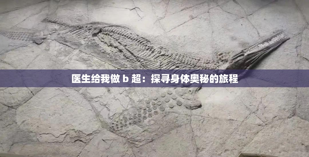 醫(yī)生給我做 b 超：探尋身體奧秘的旅程