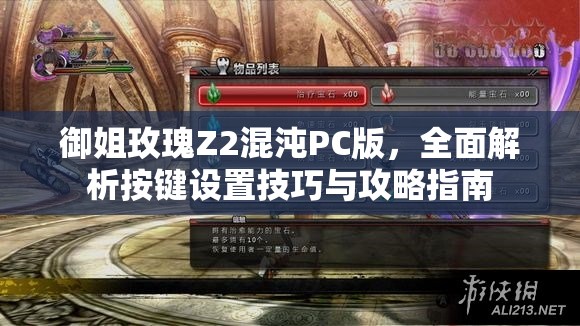 御姐玫瑰Z2混沌PC版，全面解析按鍵設(shè)置技巧與攻略指南