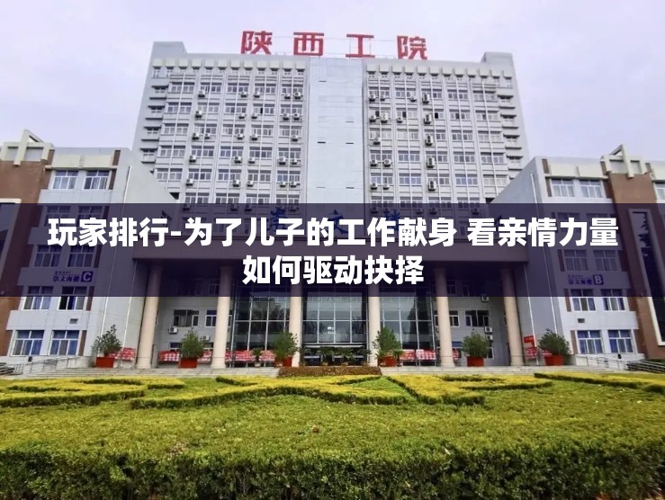 玩家排行-為了兒子的工作獻(xiàn)身 看親情力量如何驅(qū)動(dòng)抉擇