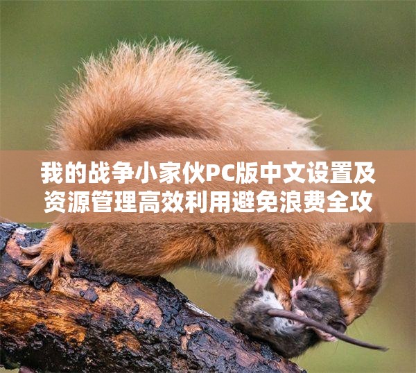 我的戰(zhàn)爭小家伙PC版中文設(shè)置及資源管理高效利用避免浪費(fèi)全攻略