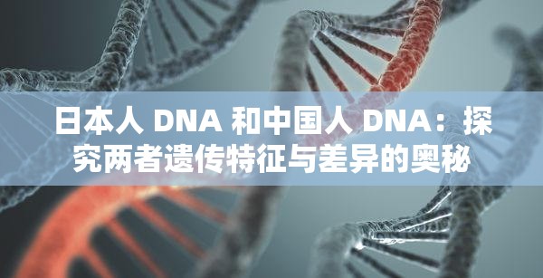 日本人 DNA 和中國(guó)人 DNA：探究?jī)烧哌z傳特征與差異的奧秘