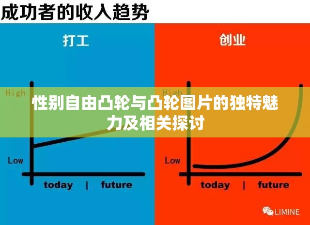 性別自由凸輪與凸輪圖片的獨(dú)特魅力及相關(guān)探討