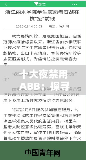 十大夜禁用 ABB：探尋其背后的深意與影響