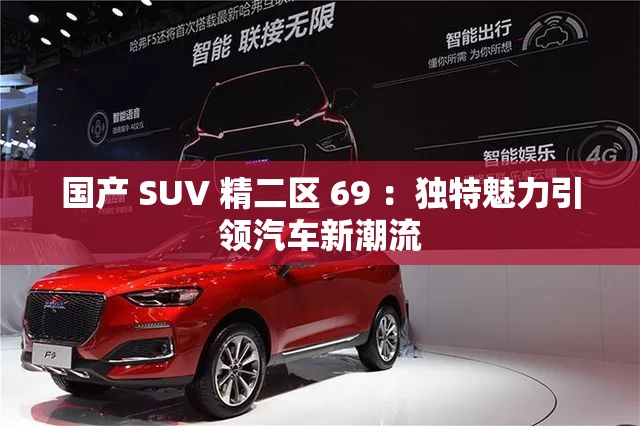 國產(chǎn) SUV 精二區(qū) 69 ：獨(dú)特魅力引領(lǐng)汽車新潮流