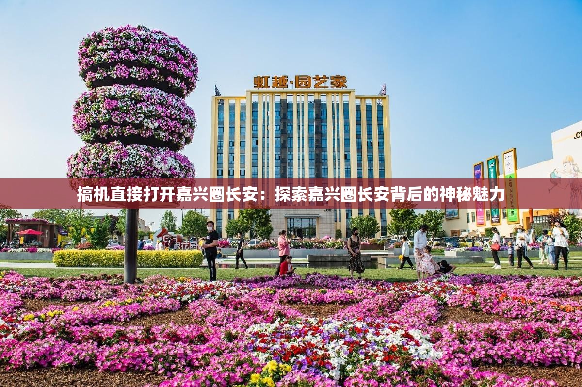 搞機(jī)直接打開嘉興圈長安：探索嘉興圈長安背后的神秘魅力