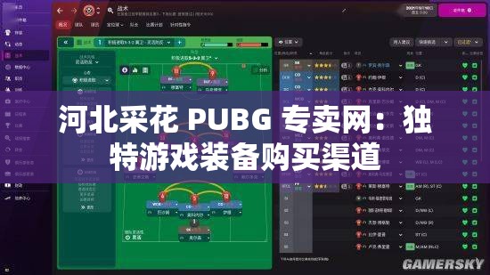 河北采花 PUBG 專賣網(wǎng)：獨(dú)特游戲裝備購(gòu)買渠道