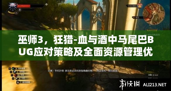 巫師3，狂獵-血與酒中馬尾巴BUG應對策略及全面資源管理優(yōu)化指南