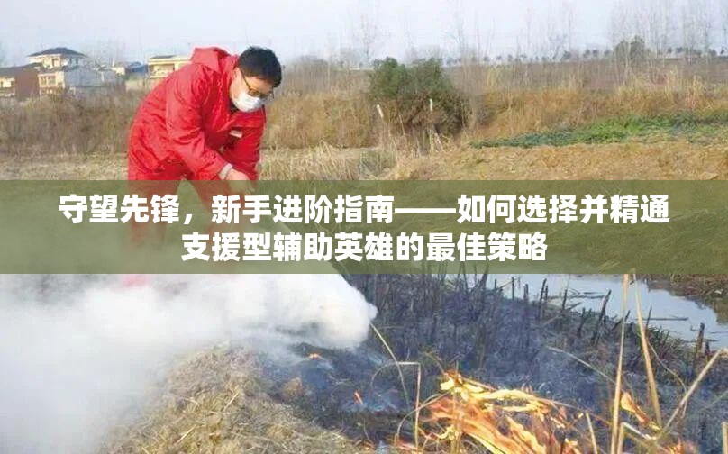 守望先鋒，新手進(jìn)階指南——如何選擇并精通支援型輔助英雄的最佳策略