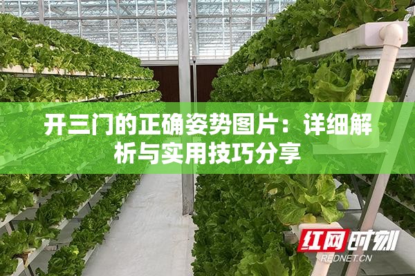 開三門的正確姿勢圖片：詳細(xì)解析與實(shí)用技巧分享