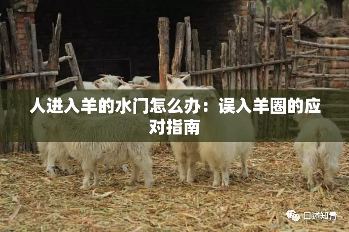 人進(jìn)入羊的水門怎么辦：誤入羊圈的應(yīng)對(duì)指南