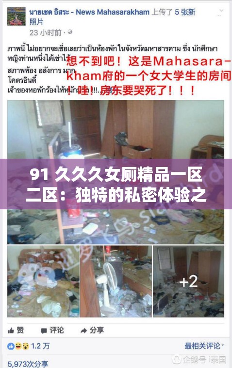 91 久久久女廁精品一區(qū)二區(qū)：獨特的私密體驗之域