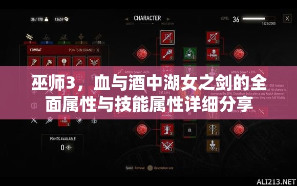 巫師3，血與酒中湖女之劍的全面屬性與技能屬性詳細(xì)分享