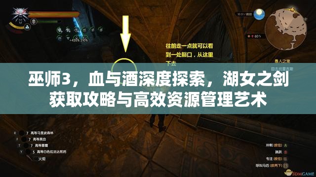巫師3，血與酒深度探索，湖女之劍獲取攻略與高效資源管理藝術(shù)