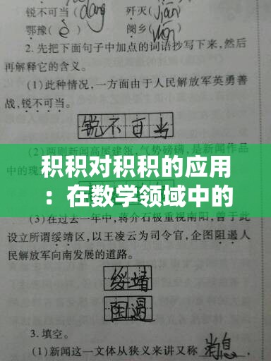 積積對積積的應用：在數(shù)學領域中的重要意義與具體實踐分析