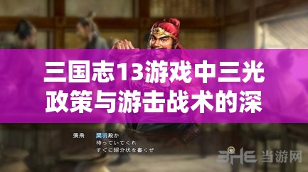 三國志13游戲中三光政策與游擊戰(zhàn)術的深度策略玩法探索解析