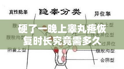 硬了一晚上睪丸疼恢復(fù)時長究竟需多久