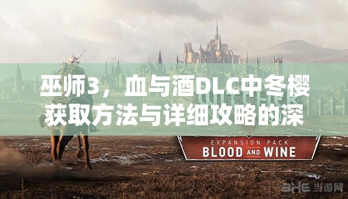 巫師3，血與酒DLC中冬櫻獲取方法與詳細(xì)攻略的深度探討