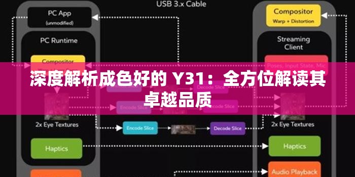 深度解析成色好的 Y31：全方位解讀其卓越品質(zhì)