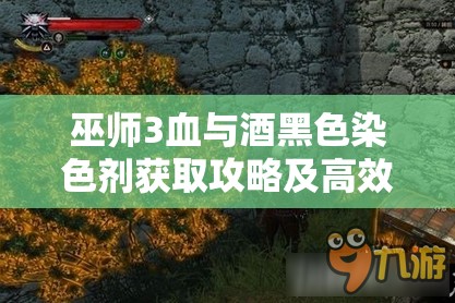 巫師3血與酒黑色染色劑獲取攻略及高效資源管理技巧解析