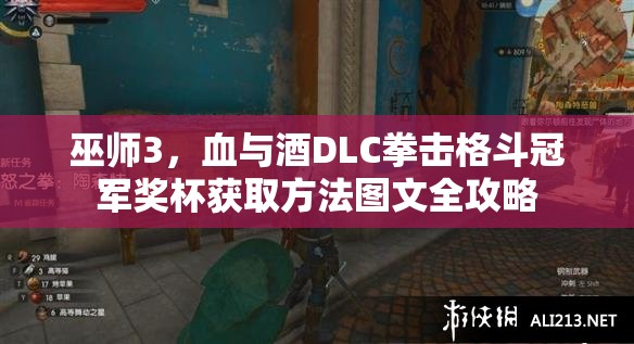 巫師3，血與酒DLC拳擊格斗冠軍獎(jiǎng)杯獲取方法圖文全攻略